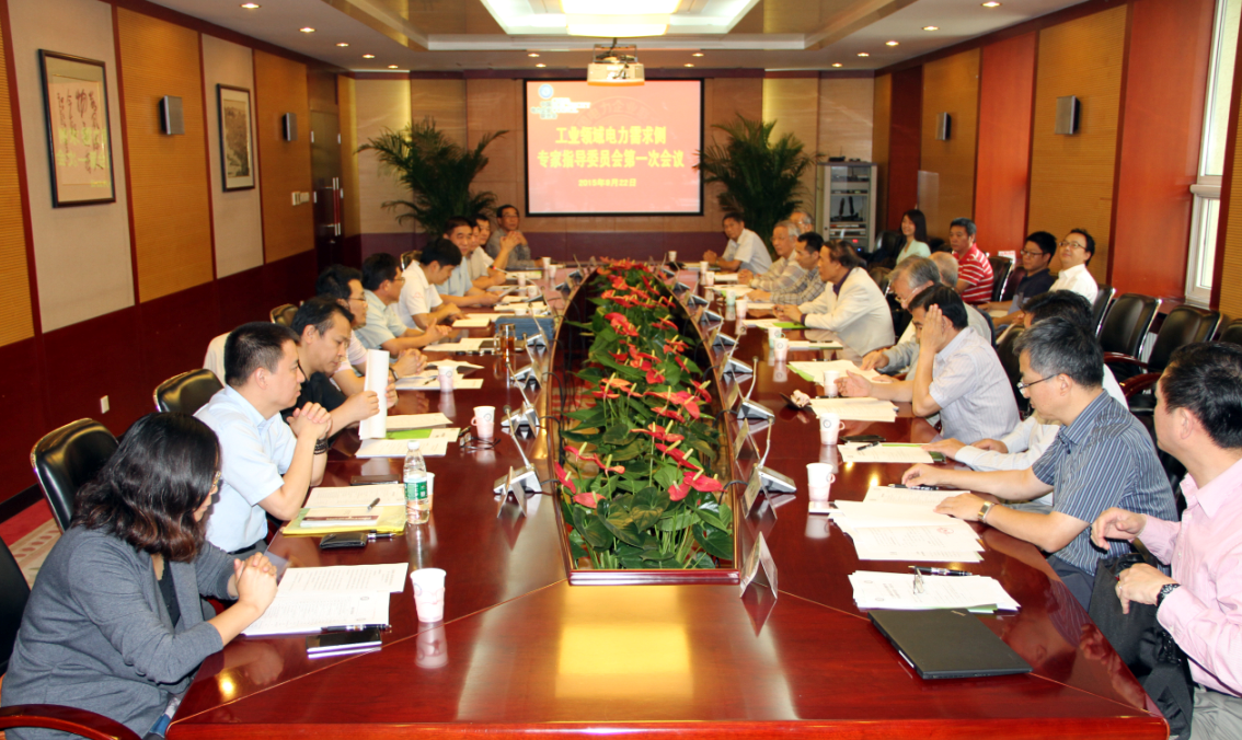 工業(yè)領域電力需求側(cè)管理專家指導委員會第一次