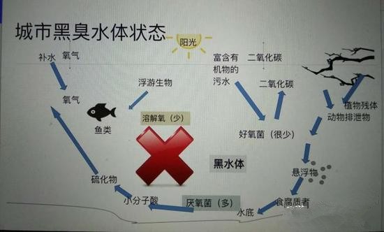 江蘇億元投資治污新技術 石墨烯能否治理黑臭水體？