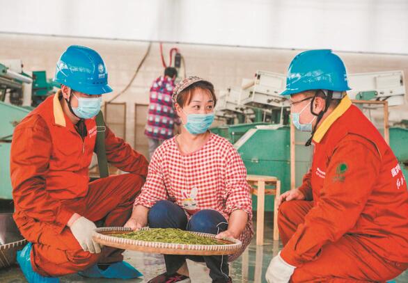 國家電網(wǎng)浙江電力紅船共產黨員服務隊:守護光明 他們在行動