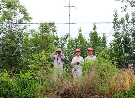 國網(wǎng)江永縣供電公司:負責(zé)人帶隊巡線，精施策護網(wǎng)保電