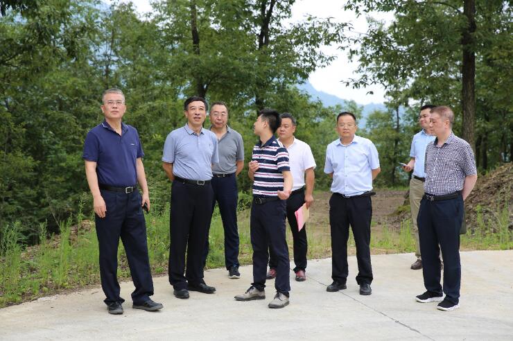 中國(guó)能建總經(jīng)理、黨委副書記孫洪水一行赴陜西鎮(zhèn)巴縣調(diào)研定點(diǎn)扶貧工作