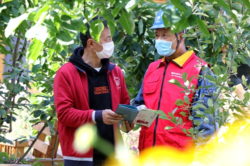 國網(wǎng)伊犁供電公司:暖心服務(wù)為當?shù)孛袼迾I(yè)“添底氣”