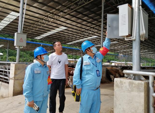 廣西寧明供電公司優(yōu)質(zhì)電力助力養(yǎng)殖事業(yè)越來越“?！? width=