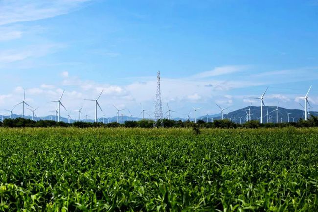 收購(gòu)墨西哥818MW光伏電站，國(guó)家電投境外光伏電站裝機(jī)超6GW