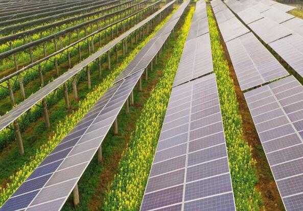 廣東清遠(yuǎn)建設(shè)小型農(nóng)光互補(bǔ)光伏發(fā)電站，工程總投資1.5億元