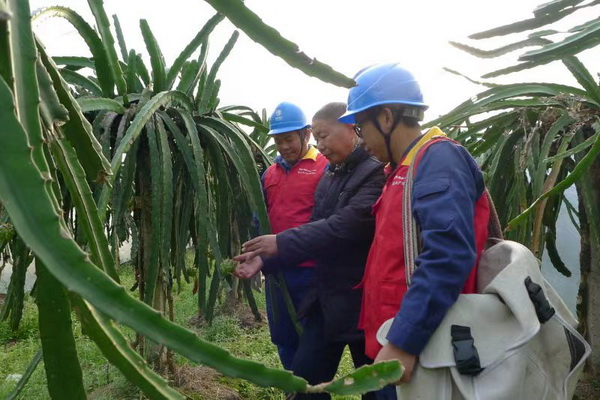 國網(wǎng)寧海縣供電公司：“電力紅馬甲”護航，退役軍人鄉(xiāng)村創(chuàng)業(yè)“紅如火”