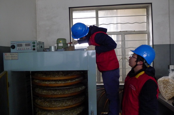 國網(wǎng)寧?？h供電公司：電力紅馬甲服務鄉(xiāng)村企業(yè) ，讓黃精變“黃金”