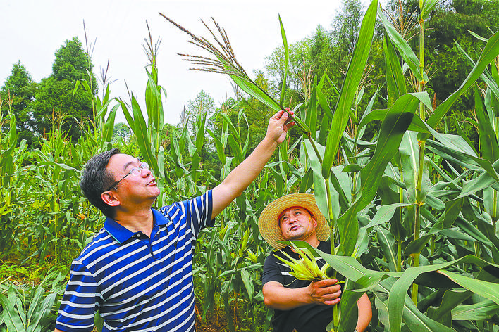 【全國脫貧攻堅先進(jìn)個人】黃丹松:一片丹心為扶貧