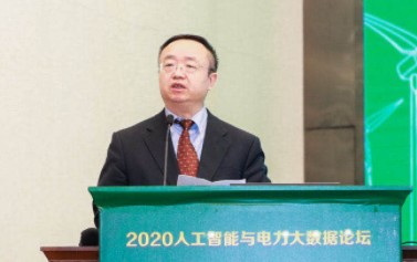 國家電網有限公司大數(shù)據(jù)中心主任、黨委副書記 王繼業(yè)：激活電力大數(shù)據(jù)價值 落實公司碳達峰碳中和行動方案