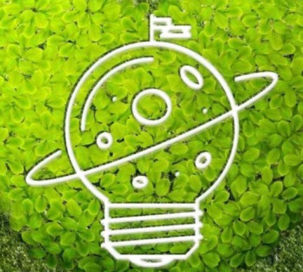 碳排放市場上線兩周后 “碳價(jià)”怎么樣了？