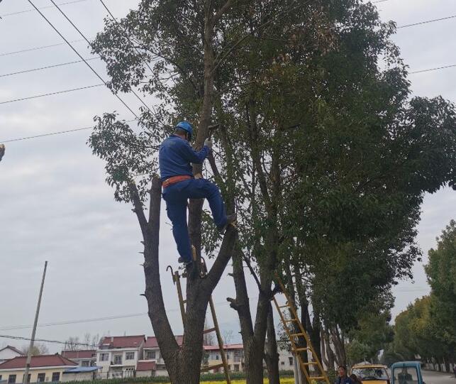 國網(wǎng)城固縣供電公司積極開展春季樹障清理工作，打通線路安全通道  　　中國電力網(wǎng)訊  陽春三月，草長鶯飛，又到了樹竹快速生長的季節(jié)，茂密的樹木包裹10千伏及0.4千伏導(dǎo)線，“線樹”矛盾愈發(fā)嚴(yán)重，此時也正