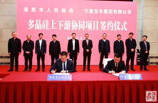 寶豐集團擬在寧夏建設35萬噸工業(yè)硅、30萬噸多晶硅、50GW拉晶切片、30GW電池組件