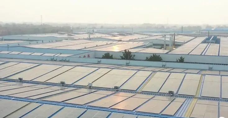 投資達9億！山東寒亭區(qū)447MW整縣分布式光伏項目正式啟動