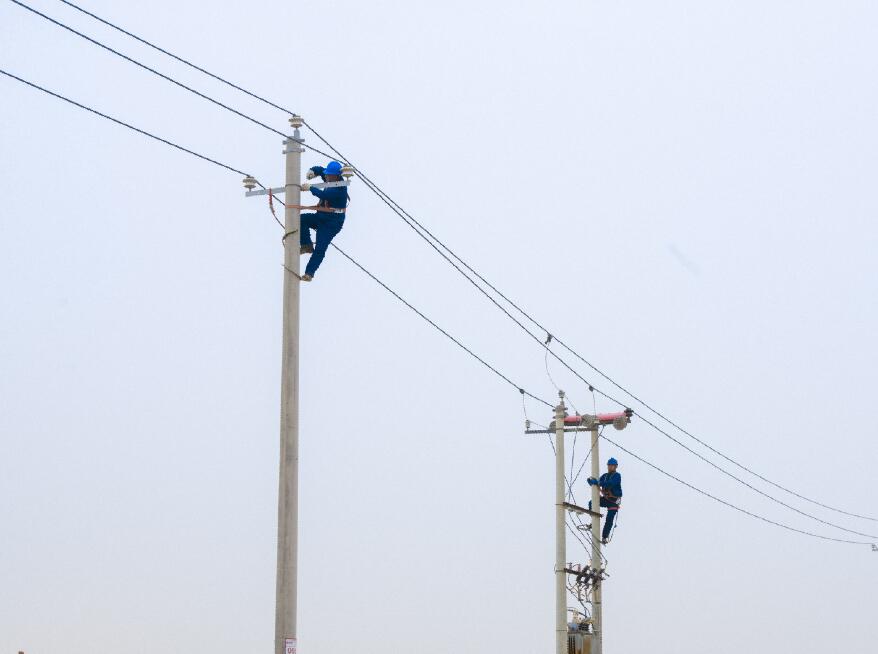 阿拉善供電公司：電網(wǎng)健康“體檢”，從登桿開始