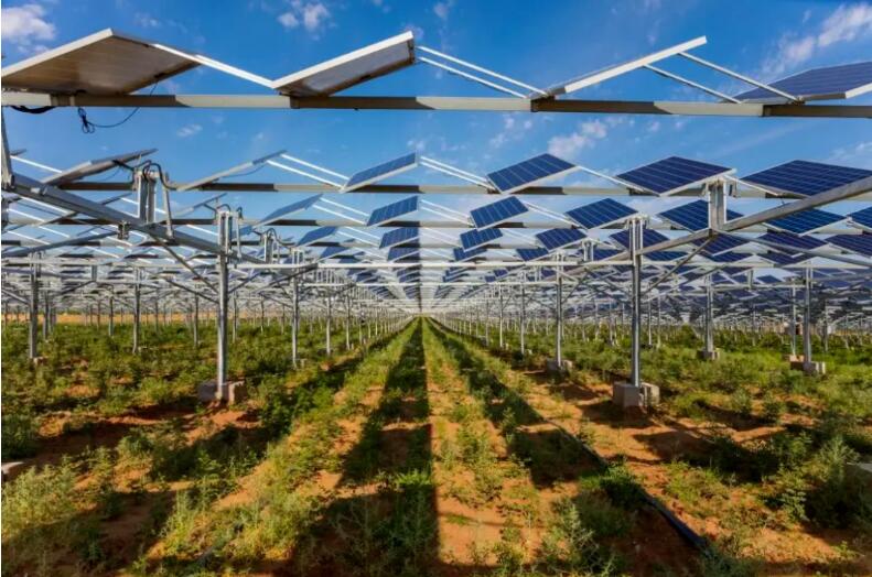 光伏治沙+風(fēng)光大基地，寧夏“走出”生態(tài)保護(hù)和高質(zhì)量發(fā)展新道路