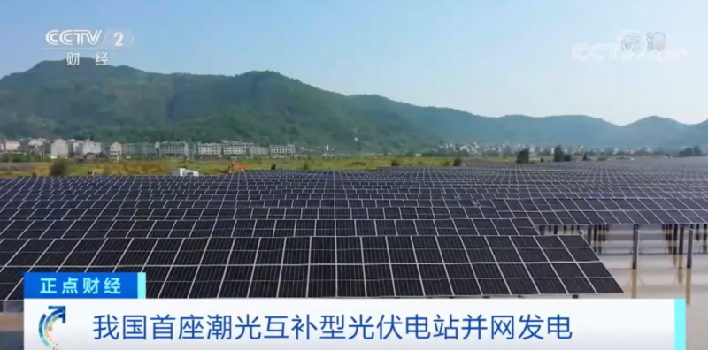 年均發(fā)電量超1億度！央視財經重點關注我國“首座”潮光互補型光伏電站