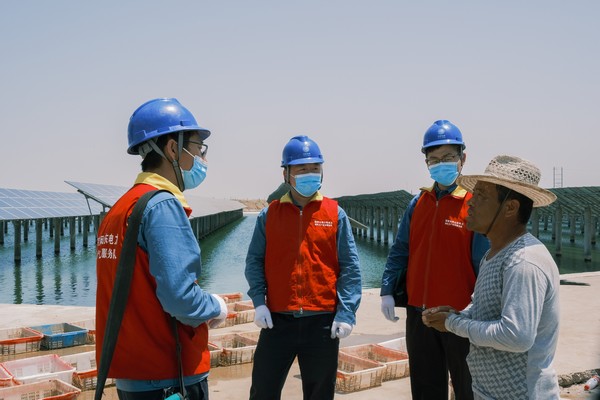 山東河口供電公司:漁光互補(bǔ) 生態(tài)富民