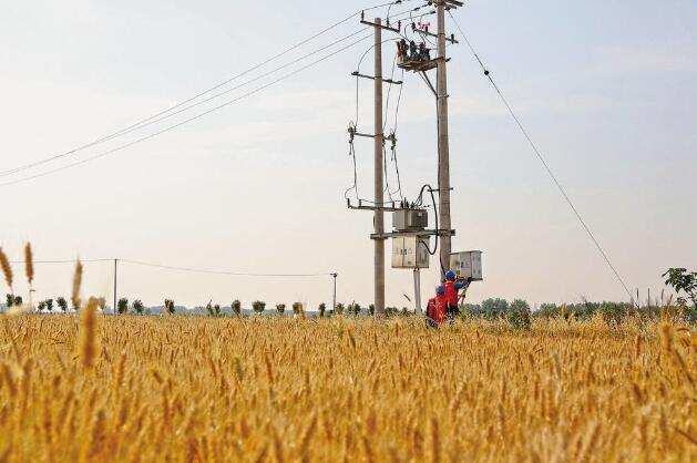 安徽阜陽(yáng)：“旱了能澆，澇了能排”