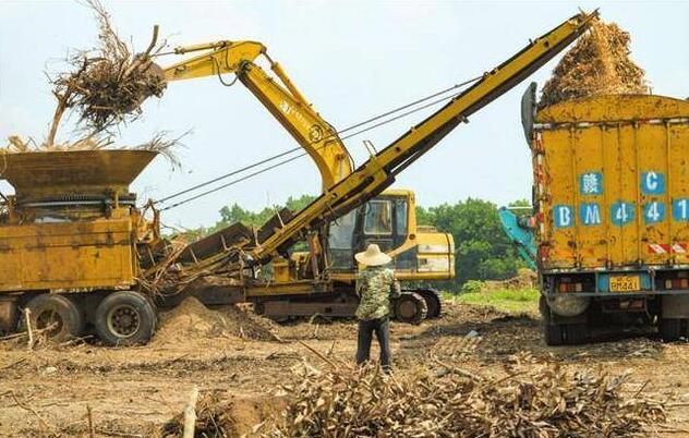 海南省?？诙嗯e措推進(jìn)秸稈等農(nóng)林廢棄物綜合利用