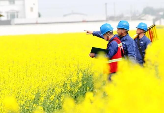 四川德陽:電力為農(nóng)業(yè)農(nóng)村現(xiàn)代化添動(dòng)能