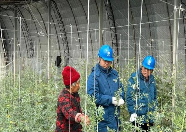 山東惠民供電公司：走訪種植大棚，優(yōu)化農(nóng)業(yè)營商環(huán)境