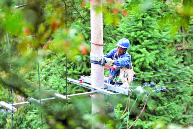 從江供電局開展線路綜合整治 保障電網穩(wěn)定運行