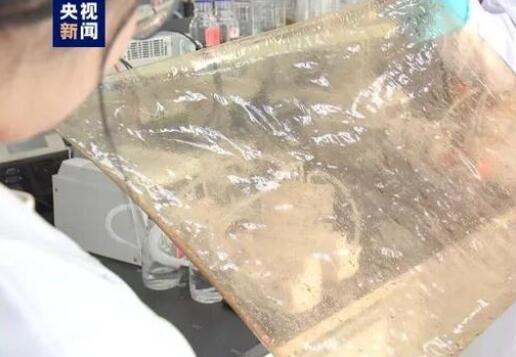 國(guó)產(chǎn)新型離子膜問世,有望在新能源的儲(chǔ)能領(lǐng)域廣泛應(yīng)用