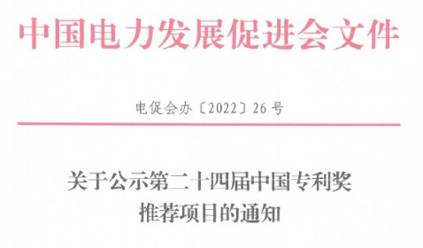 中國電力發(fā)展促進(jìn)會2022年度科學(xué)技術(shù)獎擬授獎