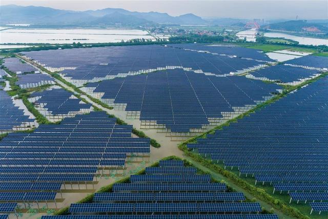 水上發(fā)電，水下養(yǎng)魚!黃石“漁光互補(bǔ)”綠色興農(nóng)