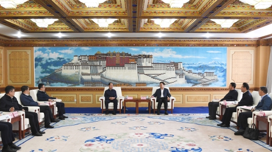 中國電建黨委書記、董事長丁焰章拜會(huì)西藏自治區(qū)黨委書記王君正、自治區(qū)主席嚴(yán)金海