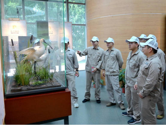 國網玉環(huán)市供電公司開展主題活動 賦能綠色生態(tài)發(fā)展