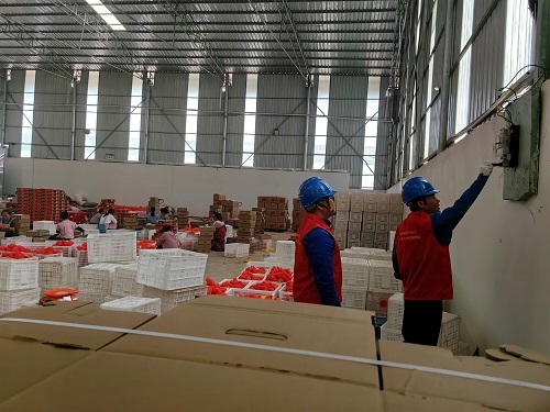 國網會理市供電公司:石榴分揀銷售忙 供電服務來保障