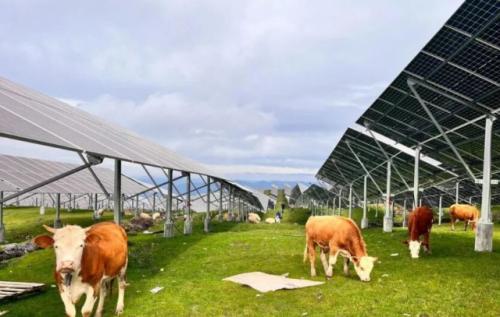 三峽集團白溝林200兆瓦光伏項目順利實現并網發(fā)電