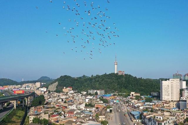 日“吞”垃圾500噸，年“吐”電能超億度!清鎮(zhèn)市首個(gè)生活垃圾焚燒發(fā)電項(xiàng)目并網(wǎng)發(fā)電