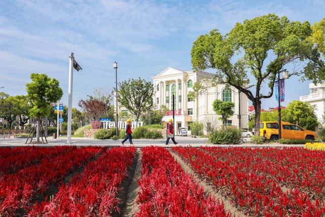 “電靚”和美鄉(xiāng)村，過去20年，杭州電力做了什么