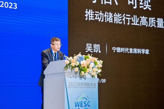 寧德時(shí)代首席科學(xué)家吳凱:警惕儲(chǔ)能一哄而上的風(fēng)險(xiǎn)|最前線
