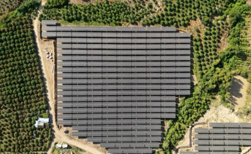 三峽能源海南崖州100兆瓦農(nóng)光互補(bǔ)蔬菜大棚+儲能光伏項目實(shí)現(xiàn)首批并網(wǎng)