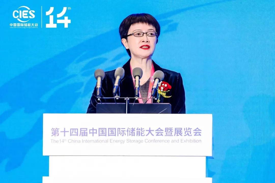 國家能源局科技司原副司長劉亞芳:大量已建成新型儲能項目調(diào)用率有待提升
