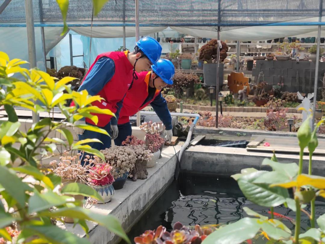 國網(wǎng)寶雞供電公司:電力賦能文旅熱 供電服務促振興