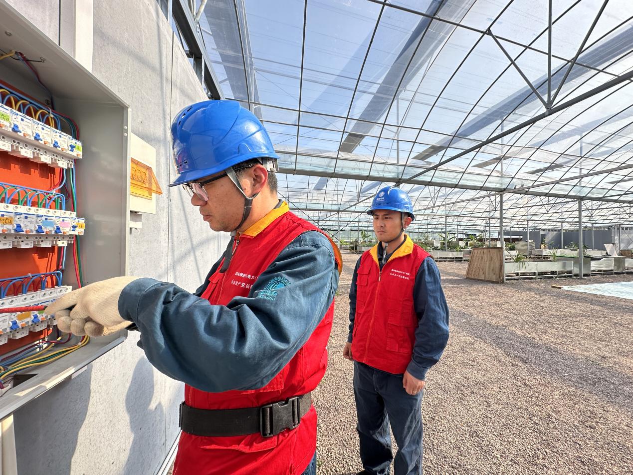 國網(wǎng)東陽市供電公司變身農(nóng)戶貼心人 穩(wěn)定電力助力“魚菜共生”
