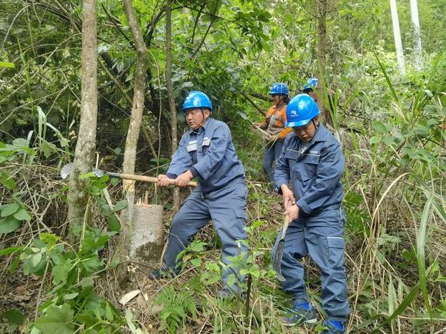 貴州望謨供電局通道清理開啟電力保障“特別行動(dòng)”