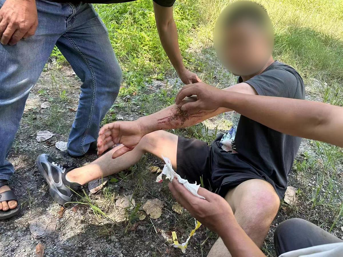 男子私設(shè)電網(wǎng)30余米，沒捕獲獵物卻電傷路人被刑拘