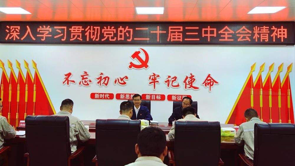 深入學習貫徹黨的二十屆三中全會精神? 大唐四川公司領(lǐng)導班子成員赴黨建聯(lián)系點講授專題黨課