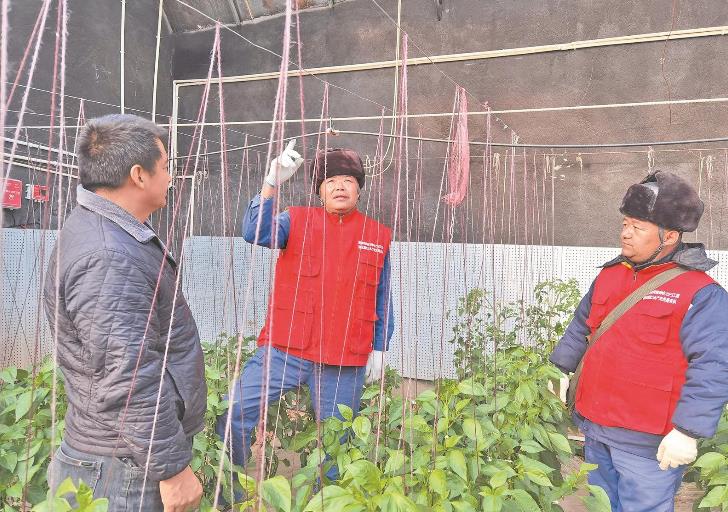 青海循化撒拉族自治縣大棚變智能，果蔬產(chǎn)量增