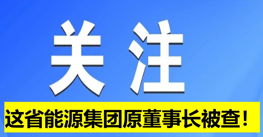 這省能源集團原董事長被查！