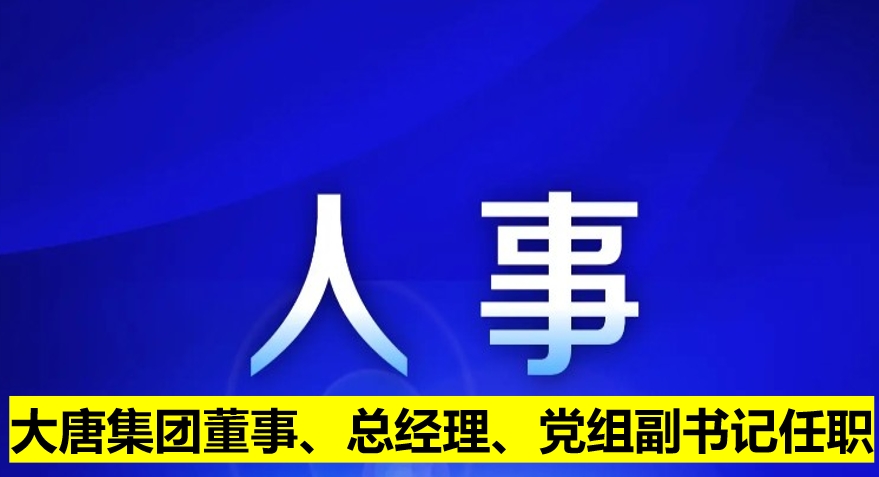 大唐集團(tuán)董事、總經(jīng)理、黨組副書記任職