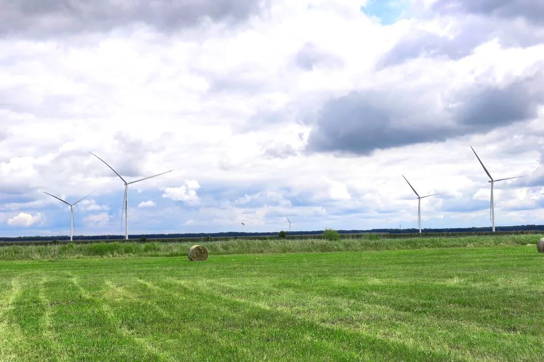 全球最大綠色氫氨醇一體化項目風機吊裝完成