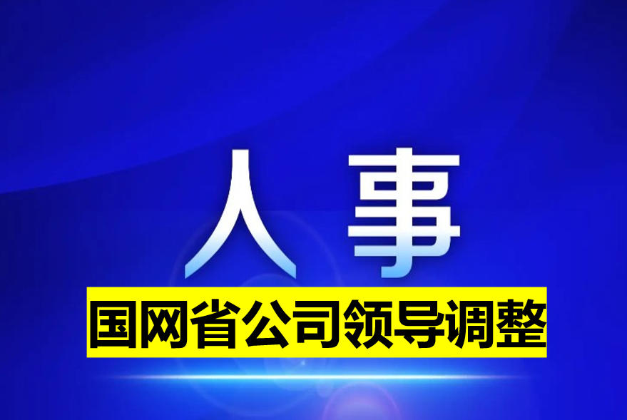 國網(wǎng)省公司領導調(diào)整